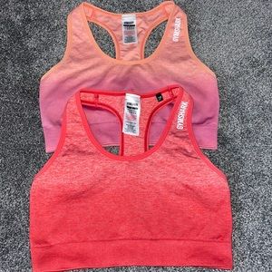 Gymshark Ombré Sports Bras